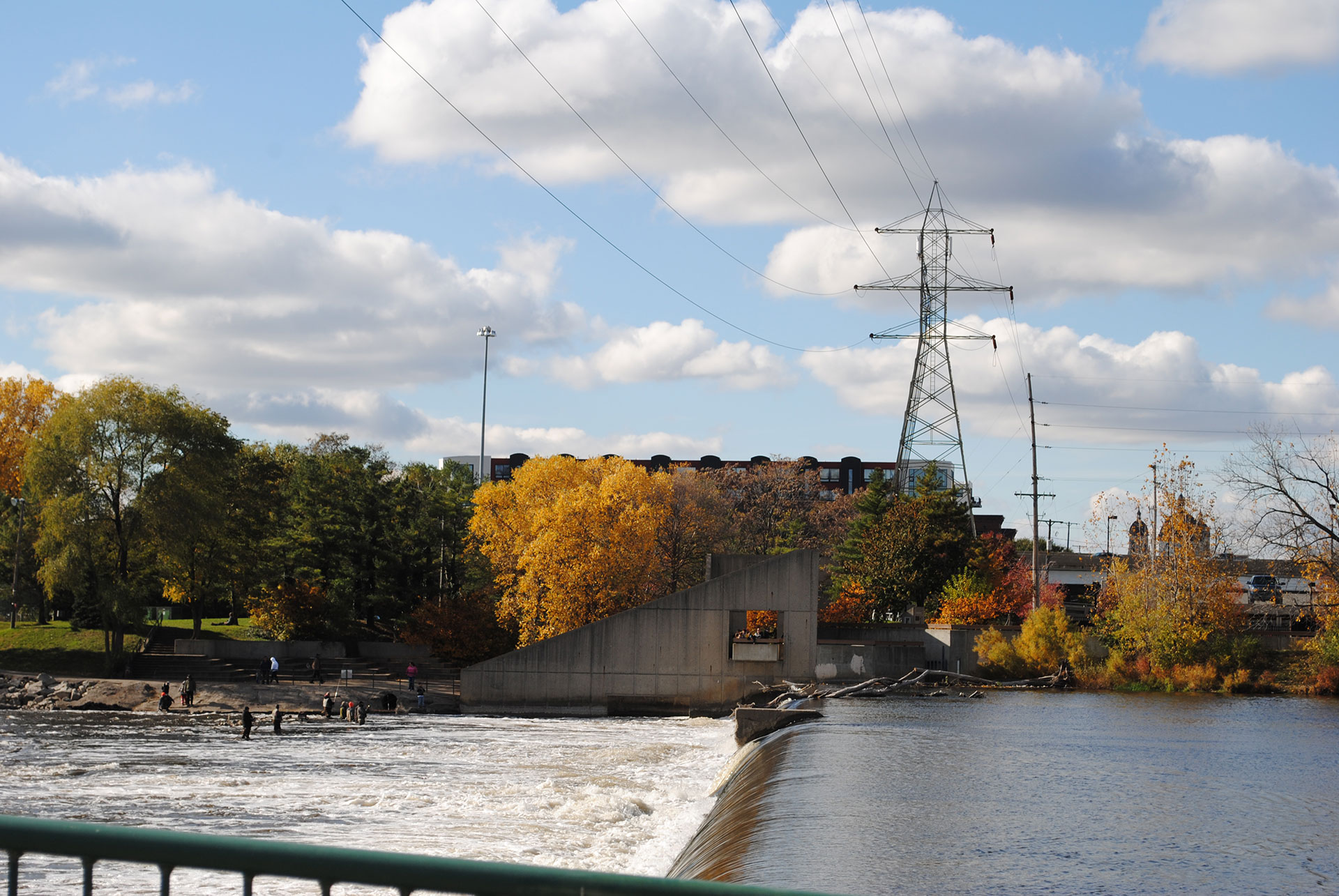 Watch fish climb a ladder in Grand Rapids