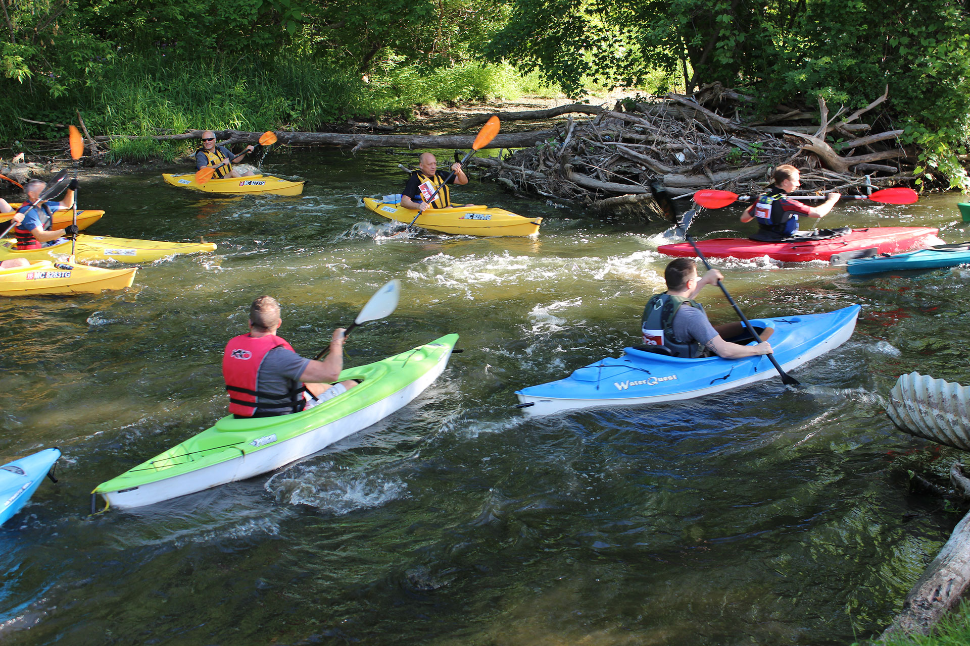 A Water Wonderland, Right in Southeast Michigan