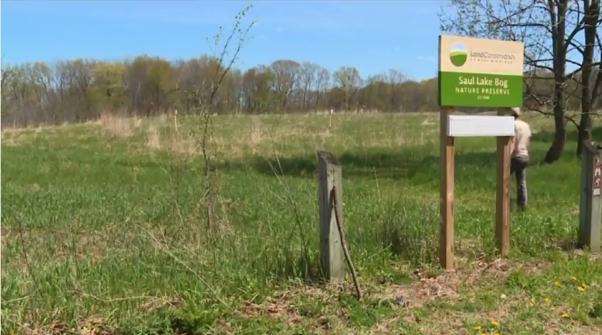 Discover a variety of wildlife at Saul Lake Bog Nature Preserve