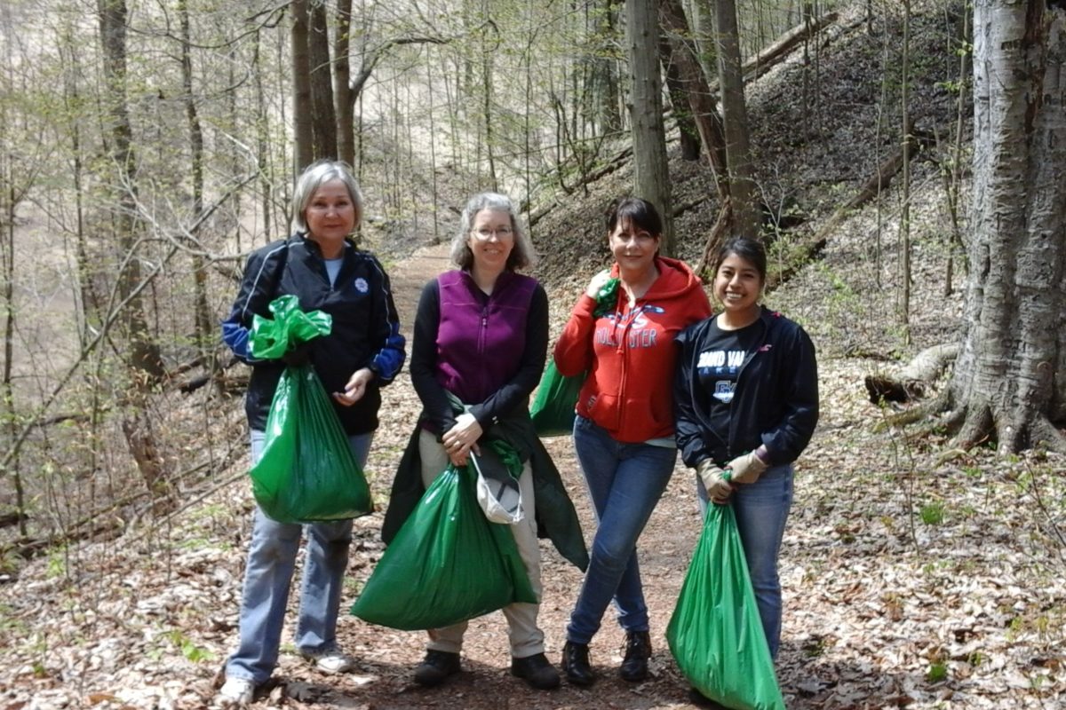 Volunteers with the DNR working to clear garlic mustard, an invasive species