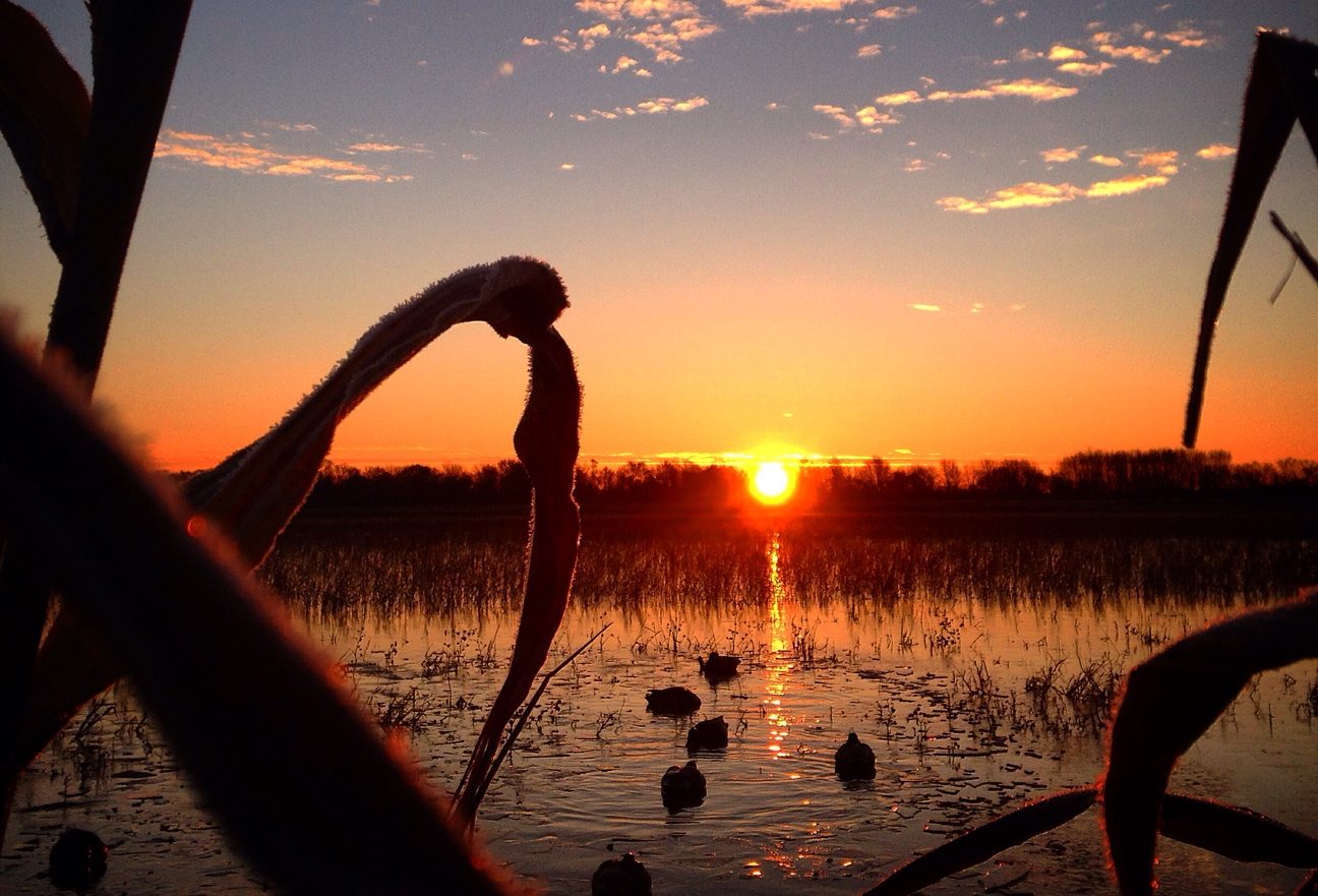 Sunrise in Shiawassee