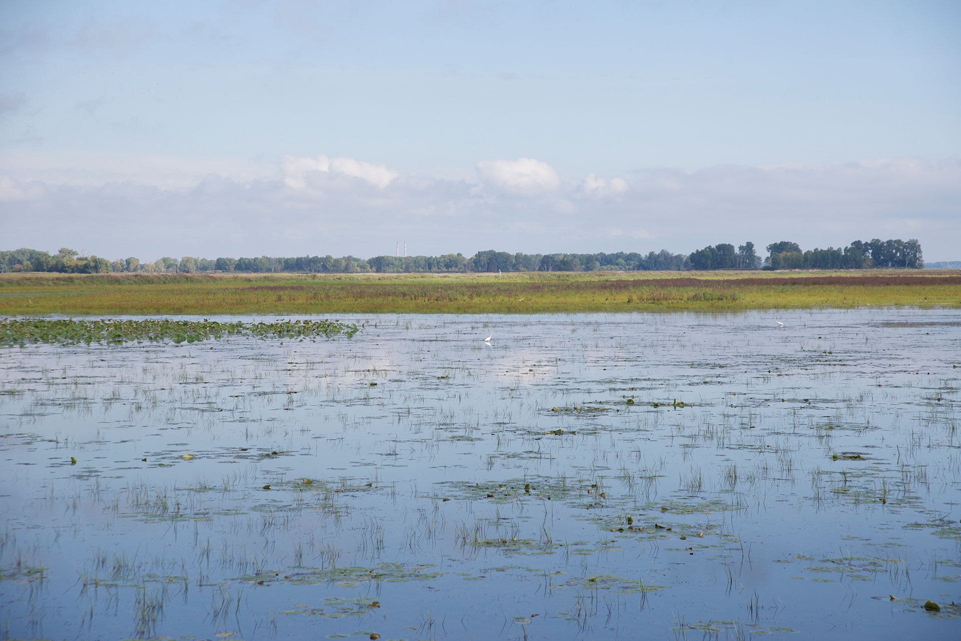 A great place to see Michigan wildlife