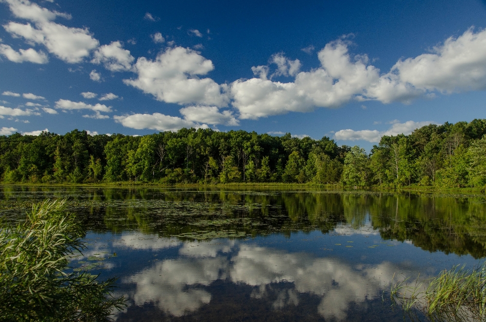 History and nature meet at Haven Hill in metro Detroit