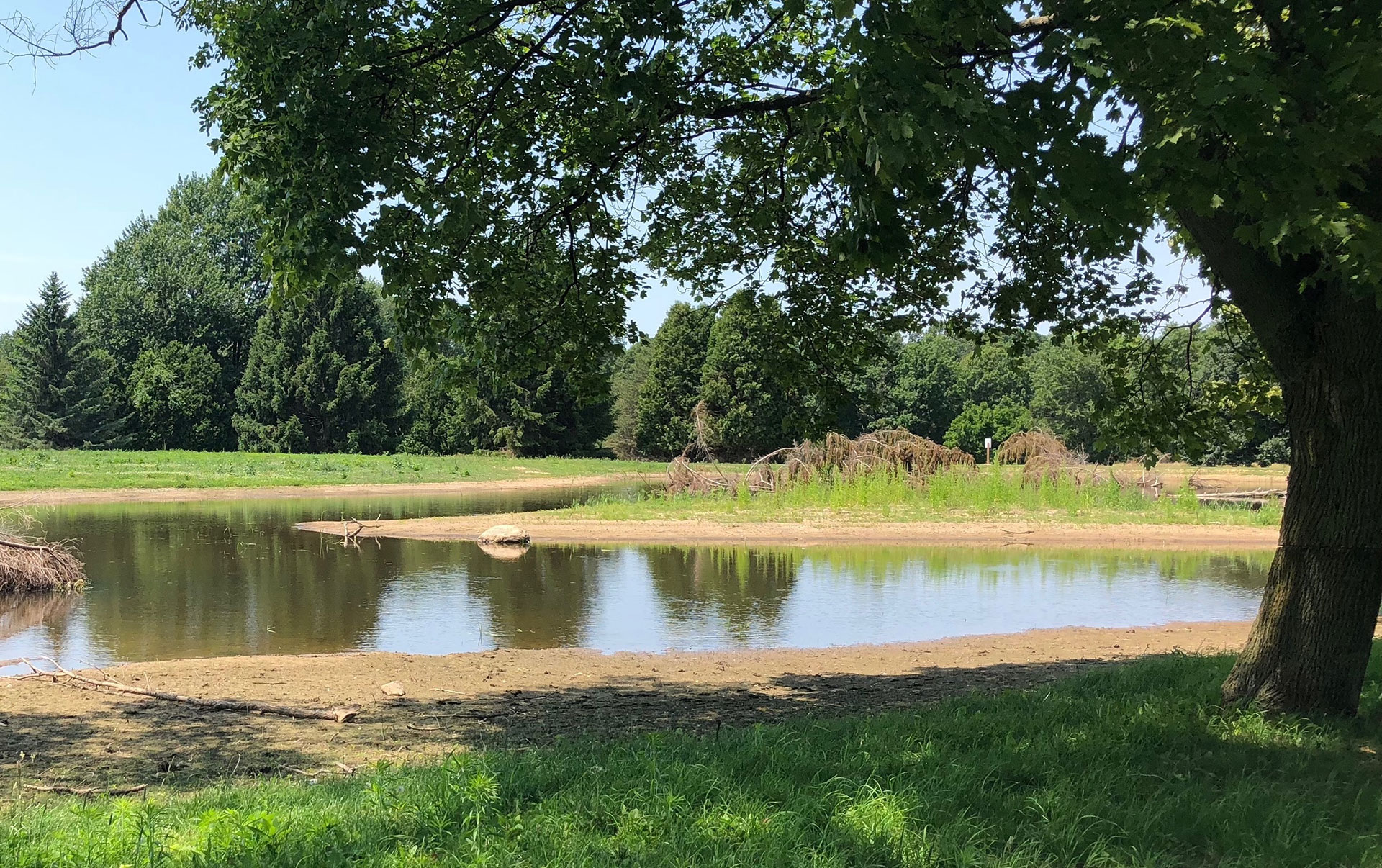 Land takes on new look and new lease on life