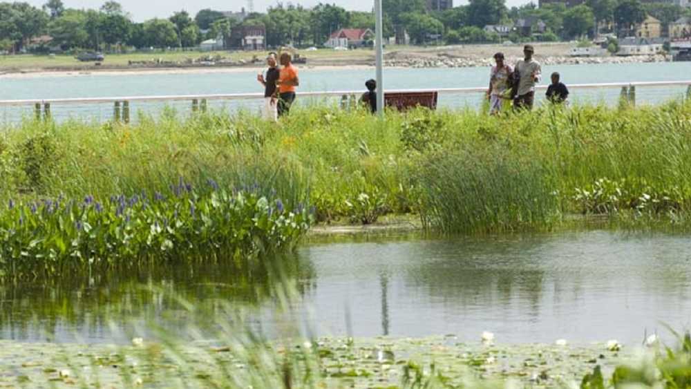 explore wetlands