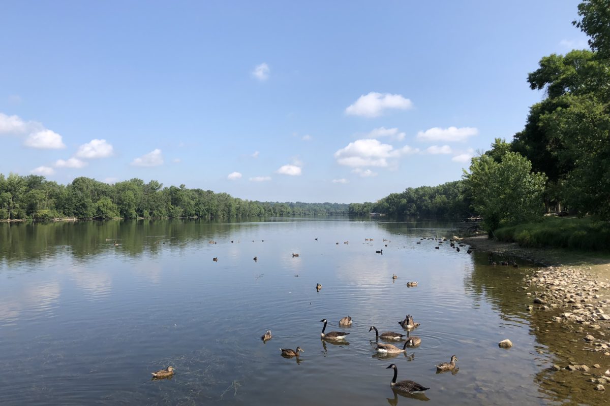 grand river conservation efforts