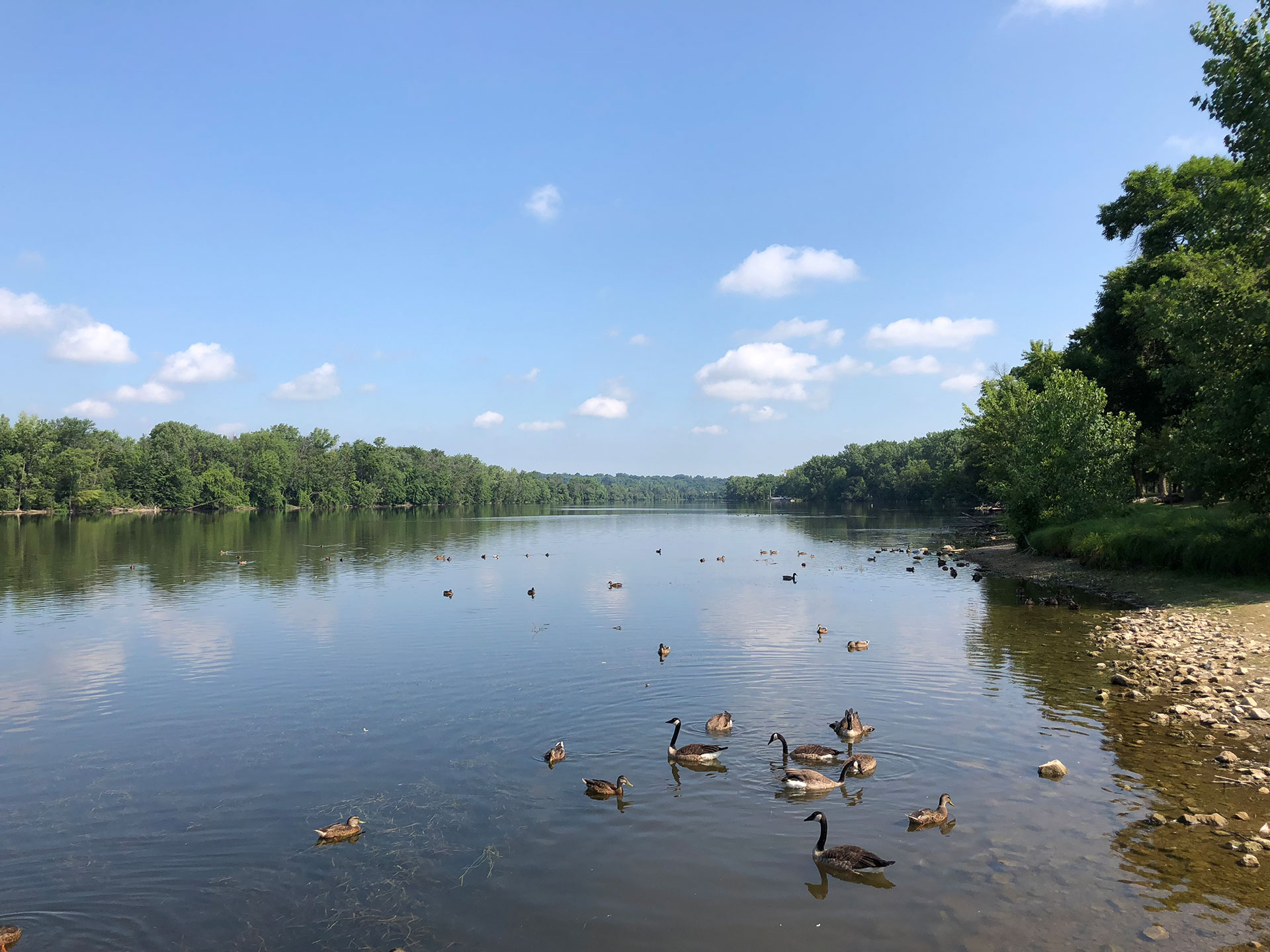 Grand River Conservation Efforts