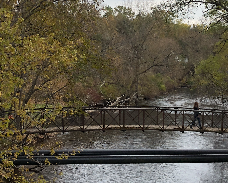 Protecting and maintaining Michigan’s waters