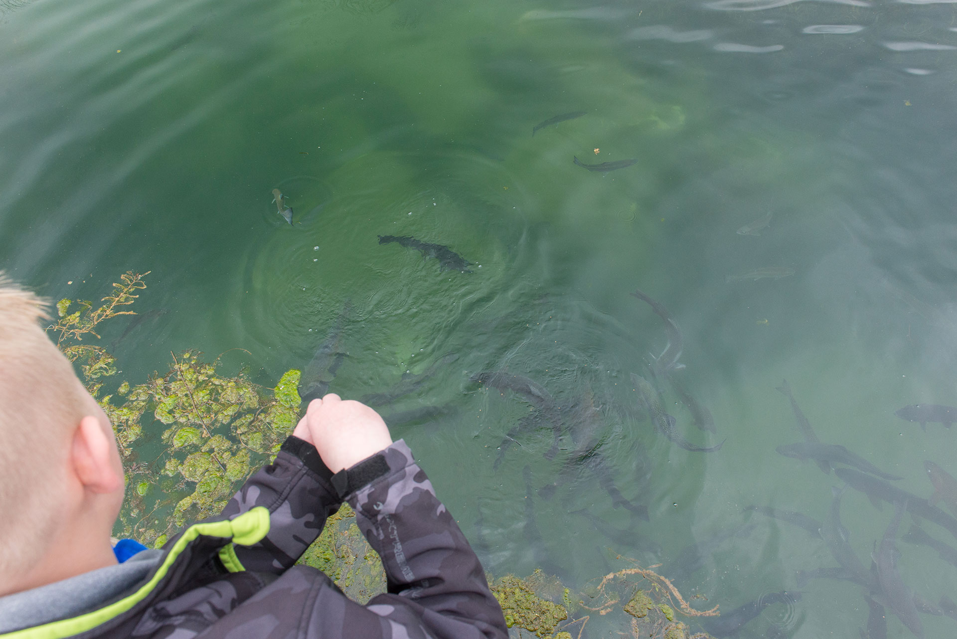 Restoring our state’s aquatic ecosystems