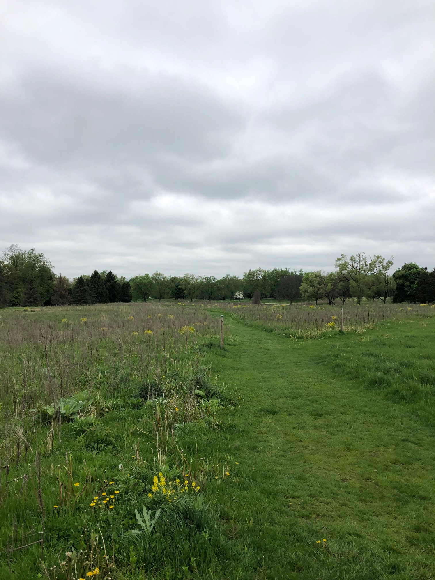 Project aims to restore land to its natural state