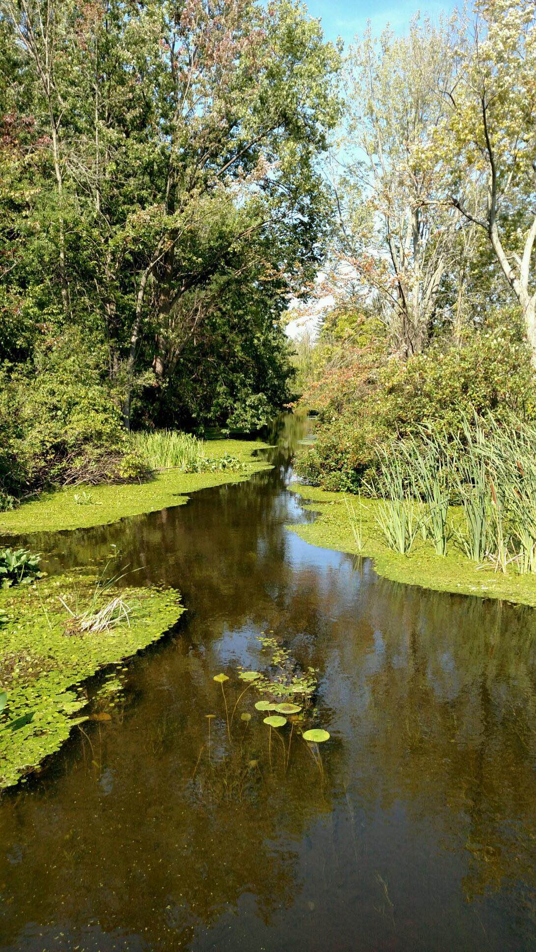 How to combat invasive aquatic species