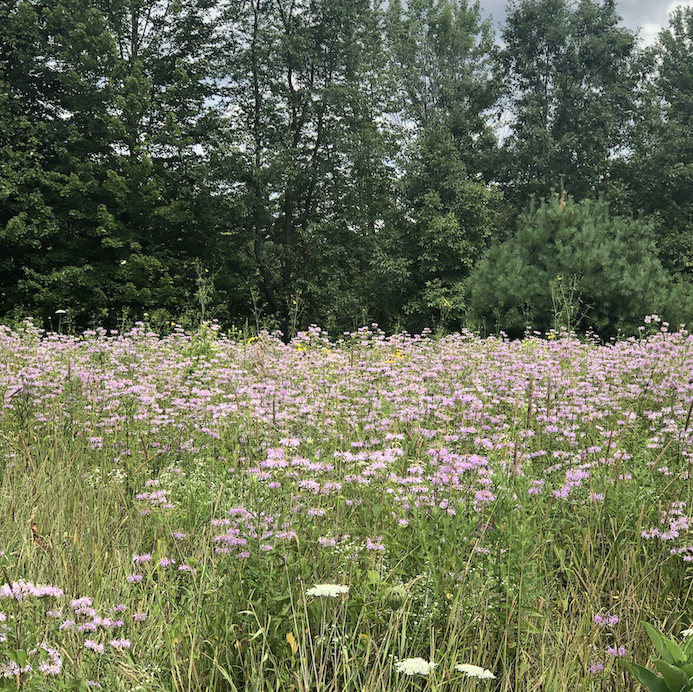Michigan’s beauty – off the beaten path