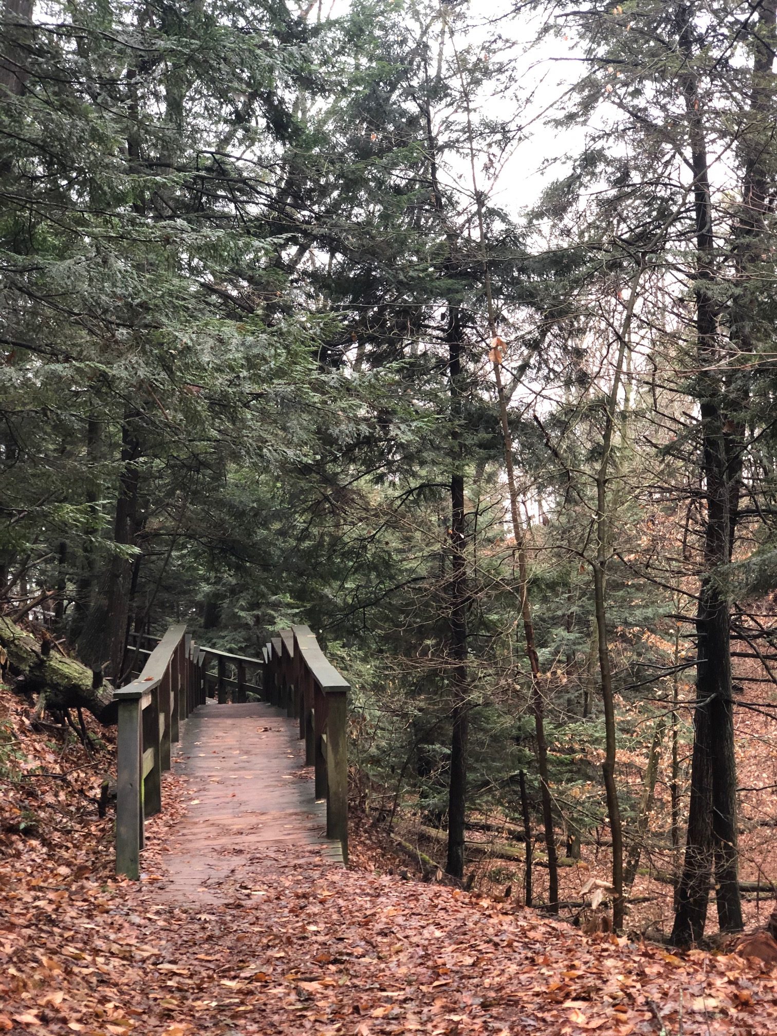 This trailblazer will inspire you to get outdoors