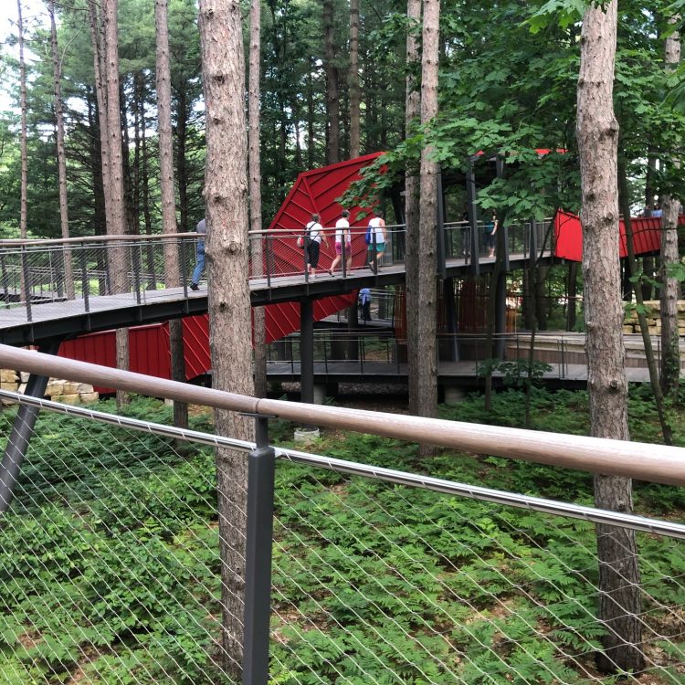 A tall foot bridge spans a forested area