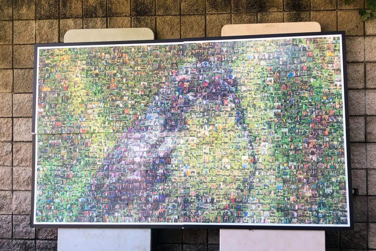 A large photo mosaic depitcts a grey and yellow songbird