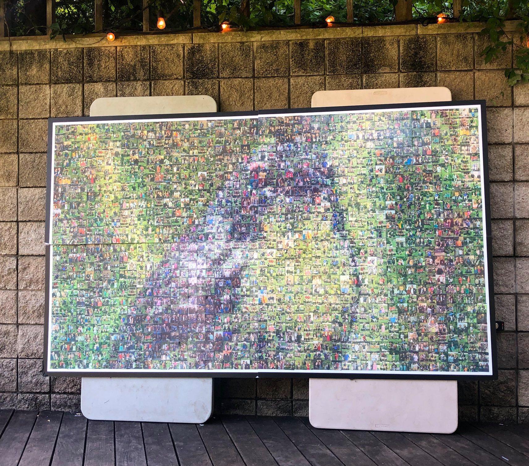 New mosaic exhibition highlights conservation success stories