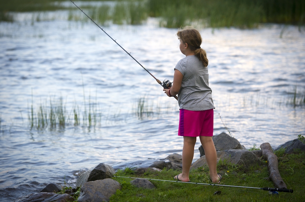 Top Michigan Wildlife Stories of 2020