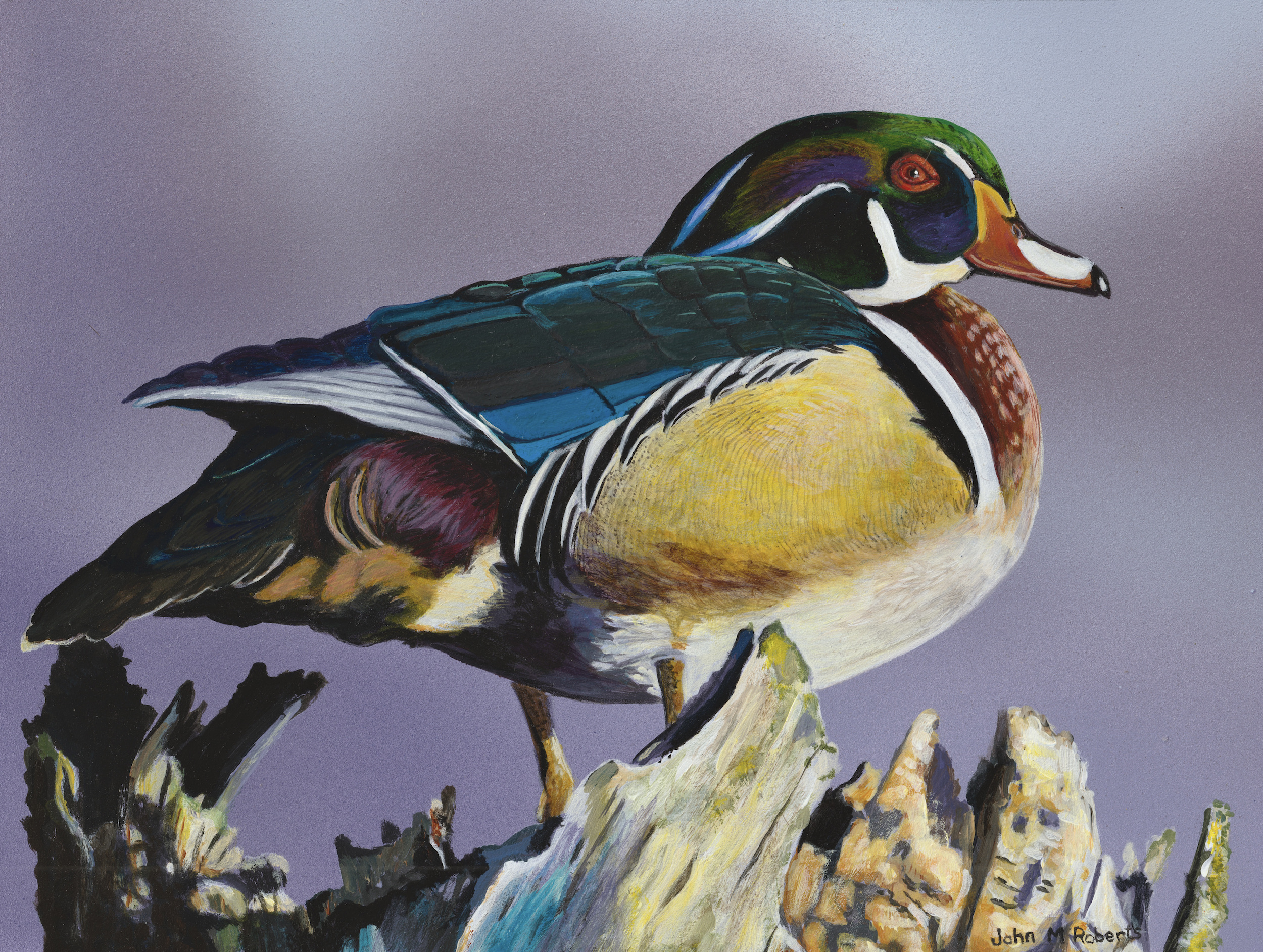 Michigan duck stamp continues to make its mark on waterfowl conservation