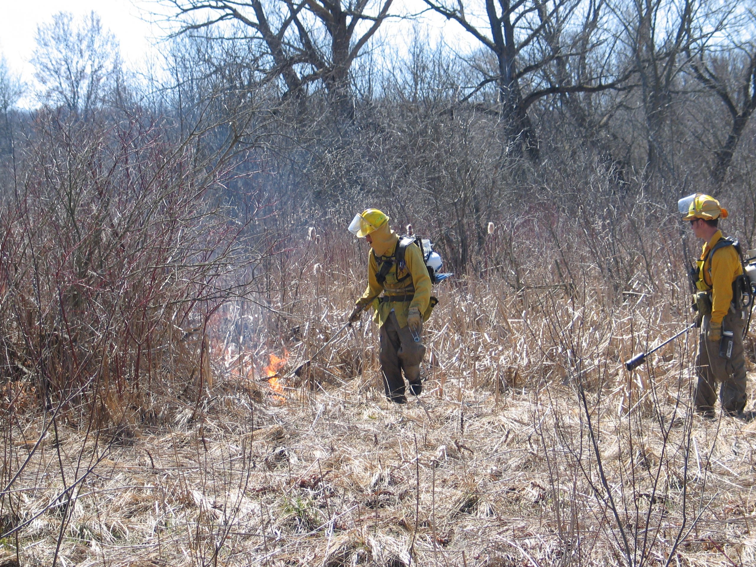 Helping wildlife thrive this spring on Live in the D