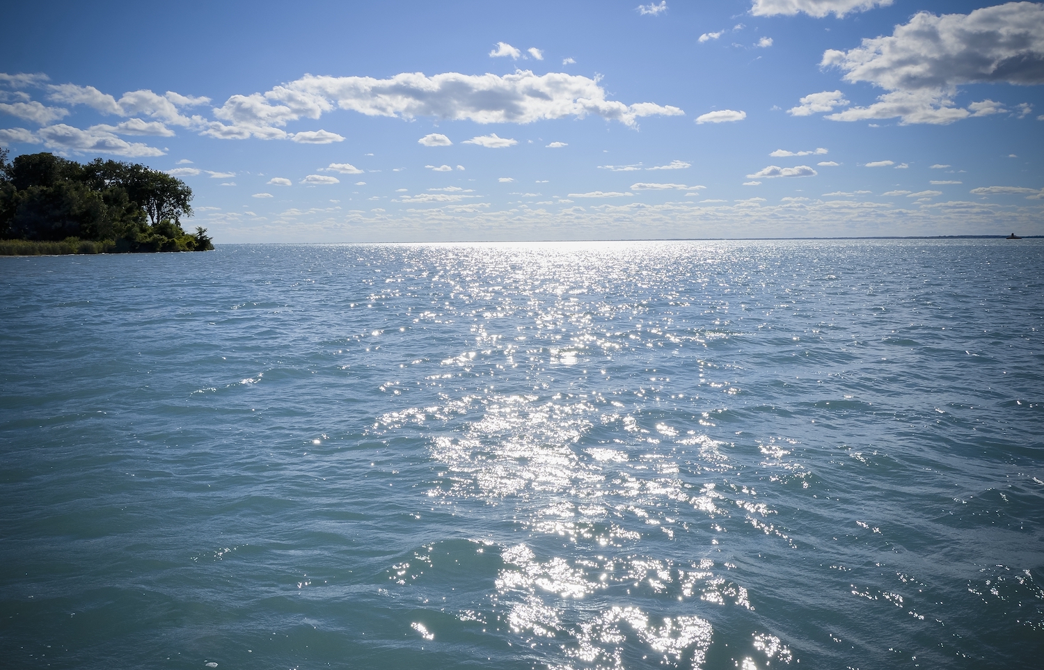 Amateur Fishing Championship event at Lake St. Clair showcases MI conservation efforts