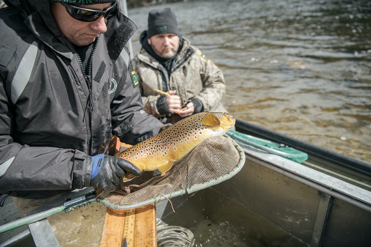 From experienced to beginner, Detroit is a great place to fish